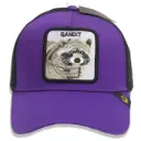 Gorra Goorin bros Mapache morada