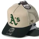 Gorra Brand Oakland Enmallada café