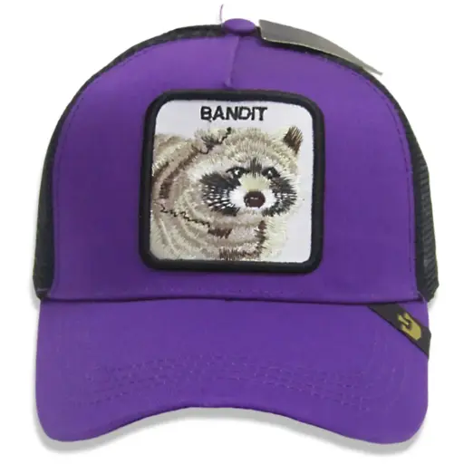[G87] Gorra Goorin bros Mapache morada
