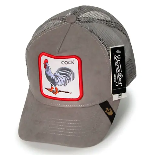 [G347] Gorra Gallo Goorin Bros Gamuzada gris
